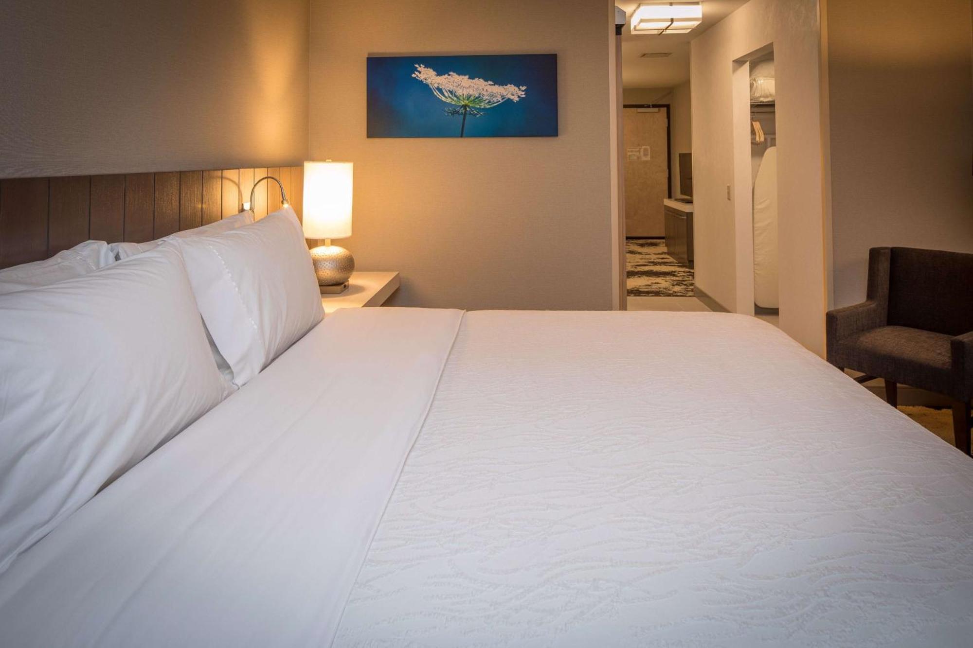 Hilton Garden Inn Pittsburgh Airport Moon Township Esterno foto